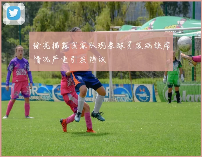 徐亮揭露国家队现象球员装病缺席情况严重引发热议